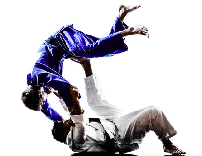 Brazilian Jiu Jitsu  von 20.00-21.30 Uhr